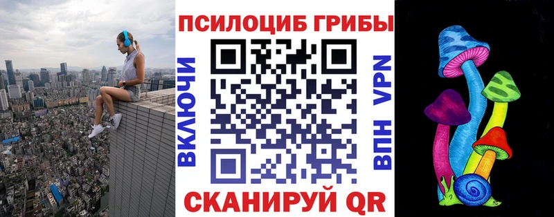 Купить где  Клинцы  Галлюциногенные грибы Psilocybine cubensis 
